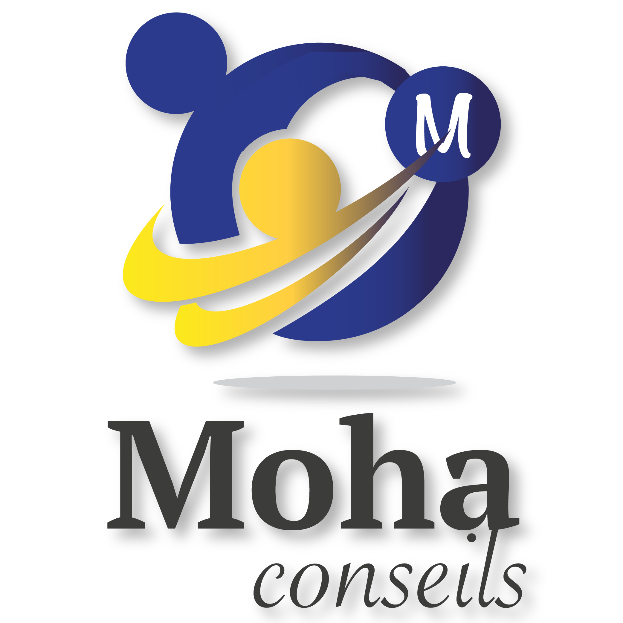 MOHA Conseils suarl