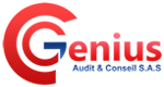 GENIUS Audit & Conseil