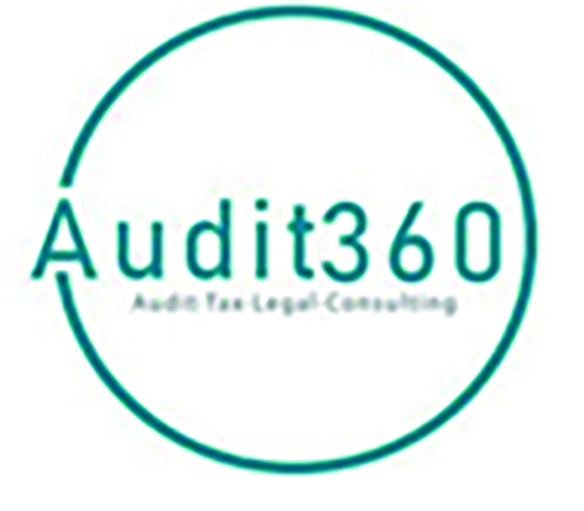 AUDIT 360